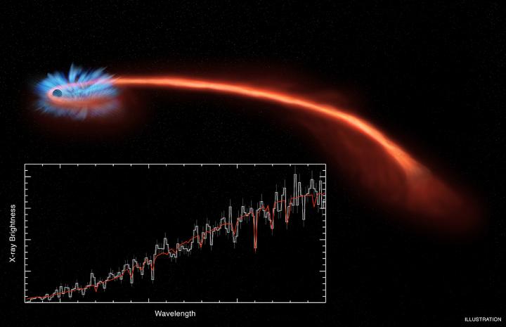 Tidal Disruption Event ASASSN-14li