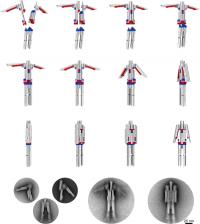 DNA Nanorobot