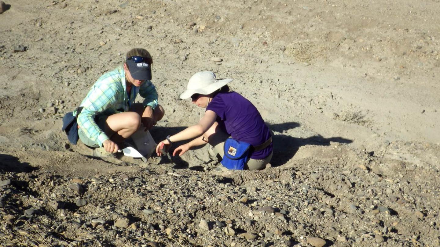Digging