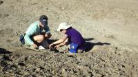 Digging