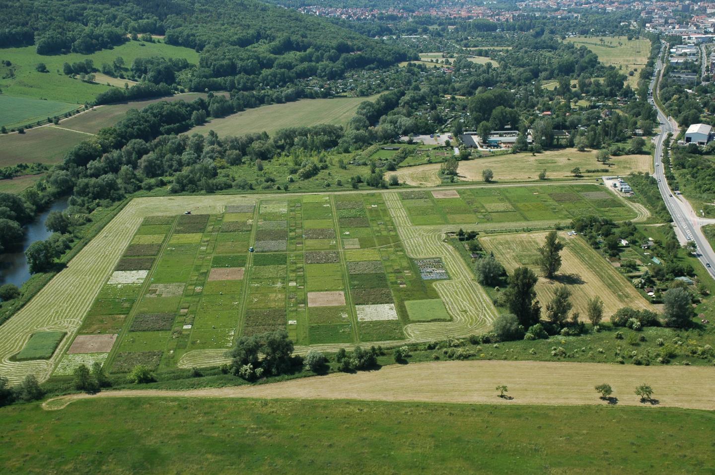 Aerial Photo of the Jena Experiment
