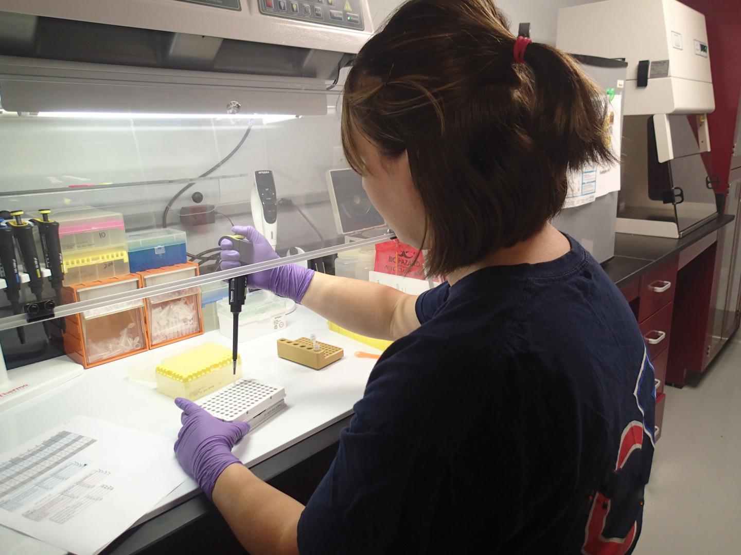 Lab Technician Pipettes Sample