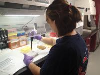 Lab Technician Pipettes Sample