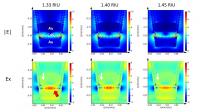 FDTD Simulation