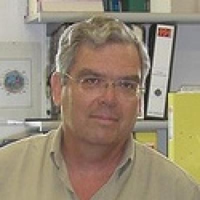 Prof. Amihay Freeman, Tel Aviv University