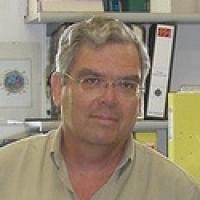 Prof. Amihay Freeman, Tel Aviv University