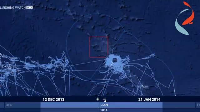 Comparing Fishing and Shark Movements around Marine Protected Area