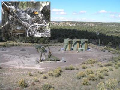 Natural Gas Wells