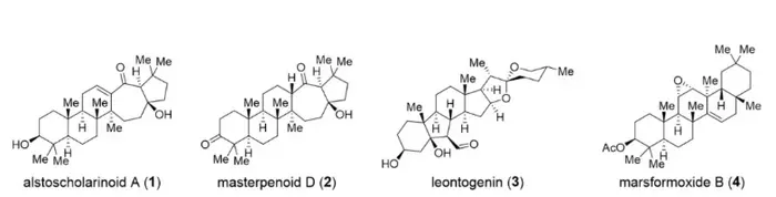 Novel biomimetic Schenck-ene/Hock/aldol tandem rearrangement reaction and its application in natural product synthesis and scaffold editing