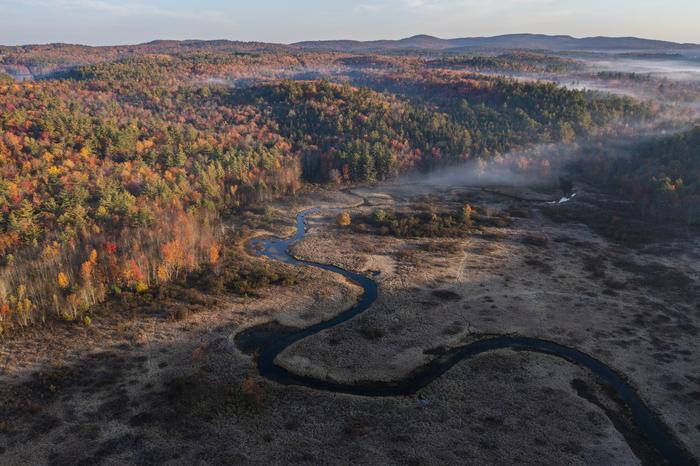 A freshwater resilient and connected network to sustain biodiversity under a changing climate