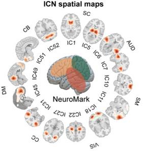 Georgia State Brain Researchers Draw Cellular Blueprint for How We Think, Feel Georgia State Brain Researchers Draw Cellular Blueprint for How We Think, Feel