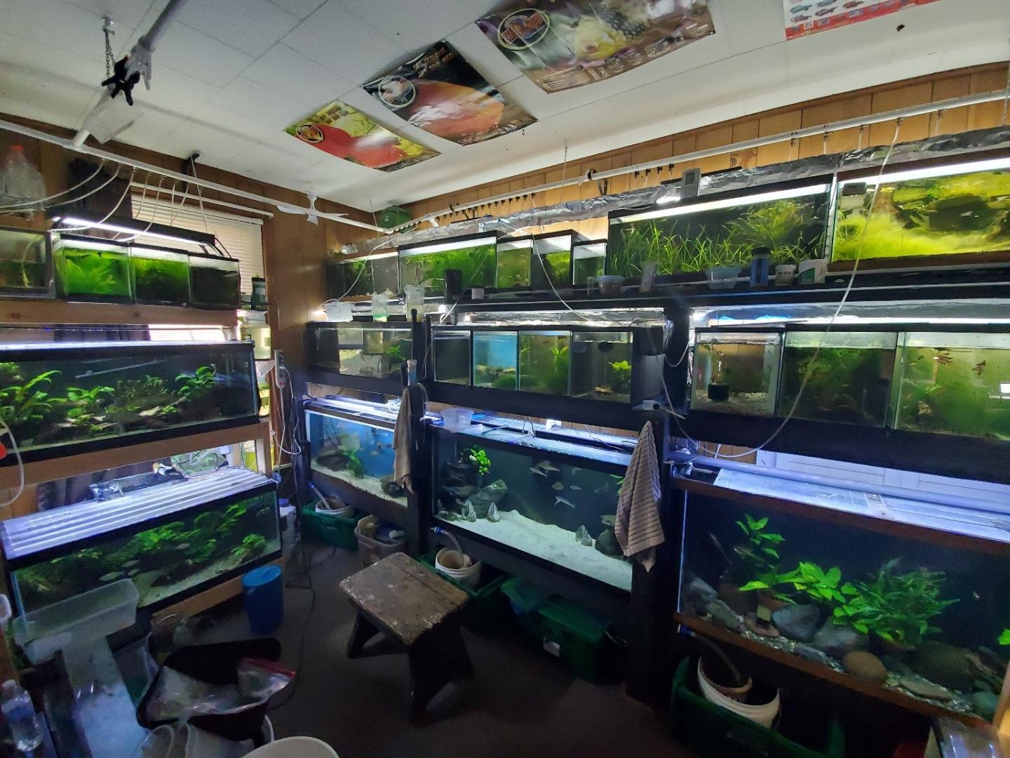Serious Aquarium Hobbyist