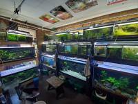 Serious Aquarium Hobbyist