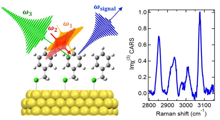 Experimental demonstration of plasmonic- and electronic-enhancement-free coherent Raman spectroscopy of ångström-scale ultrathin molecular systems.