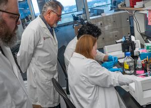 Scientists in the lab at The Gene Institute at The Ohio State Wexner Medical Center (IMAGE)