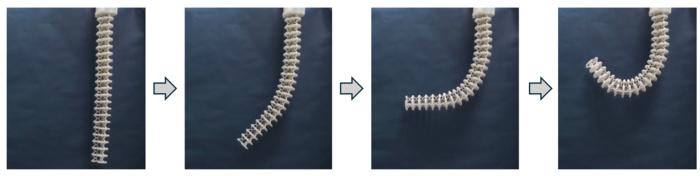 The AI control system enables the soft robotic arm to learn and achieve precise movements, such as bending into a curved ‘C’ shape, similarly to how a human arm bends. In an anti‑disturbance test, the arm was challenged under fixed and continuously 