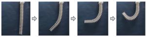 The AI control system enables the soft robotic arm to learn and achieve precise movements, such as bending into a curved ‘C’ shape, similarly to how a human arm bends. In an anti‑disturbance test, the arm was challenged under fixed and continuously 