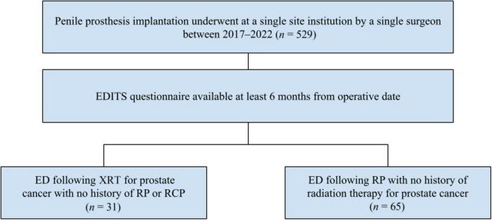 Study flowchart of patient selection: Inclusion and exclusion criteria.