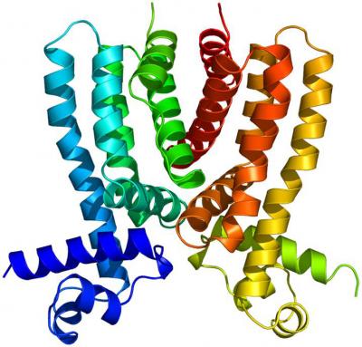 Drug Resistance in TB