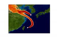 Simulated Atmospheric Transport of CFC-11