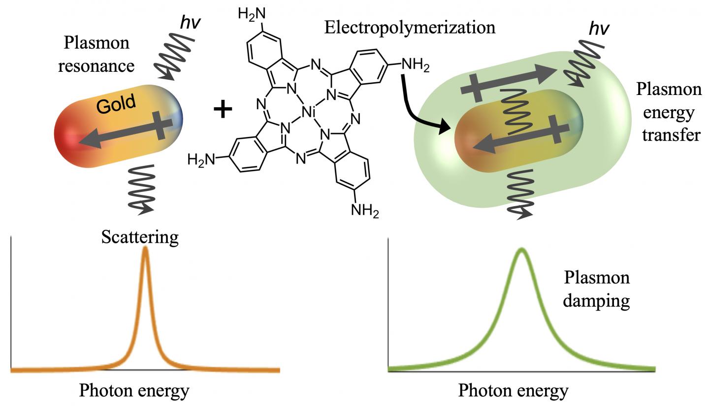 Plasmon