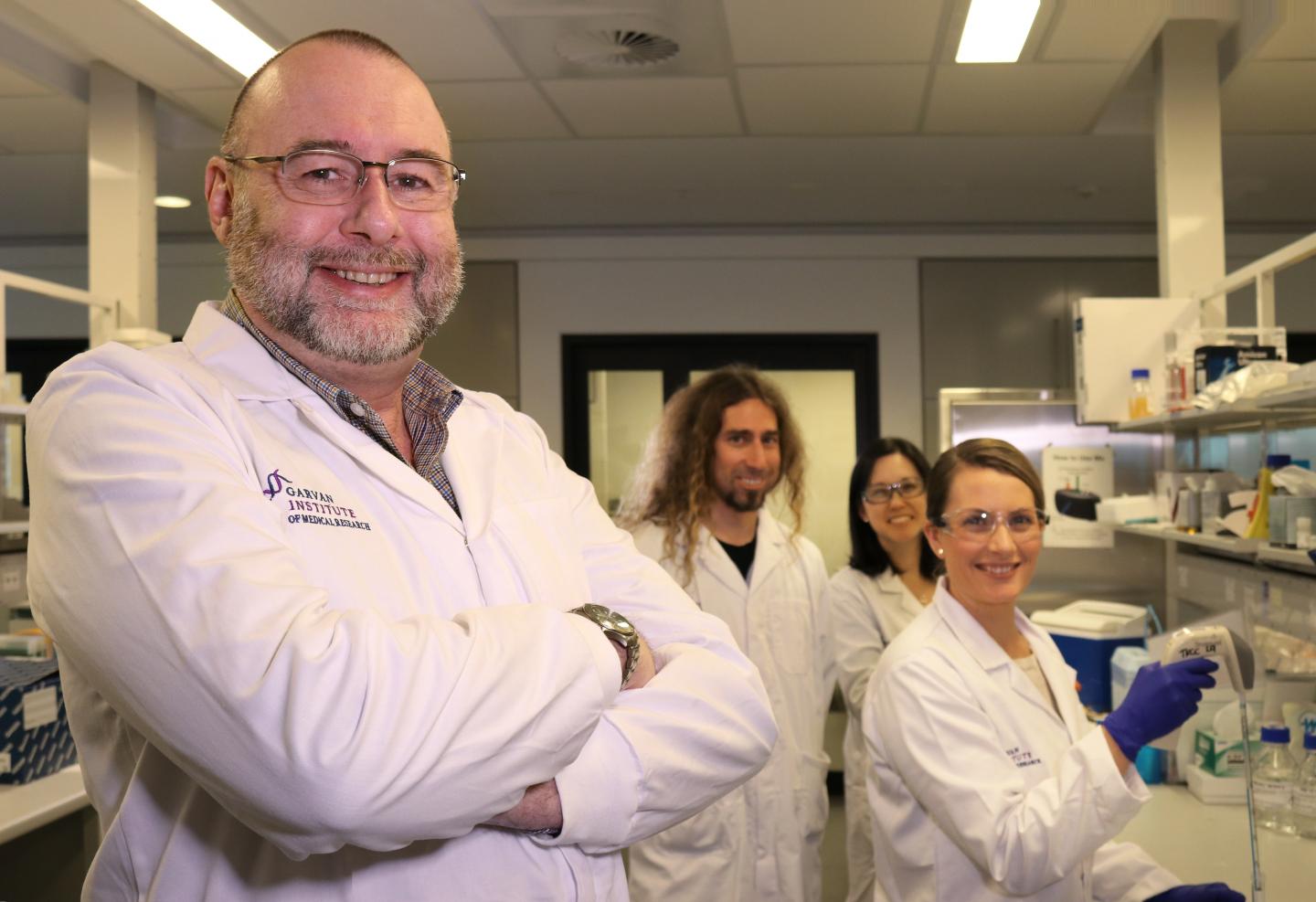 The Researchers