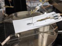 Testing Biosensor