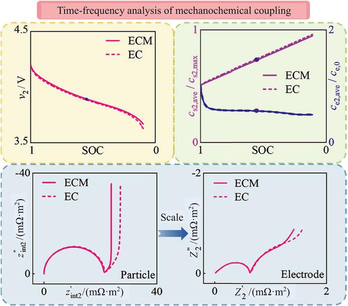 A joint time-frequency analysis of the mechanical-electrochemical coupling mechanism from particles to electrodes for the Li-ion battery