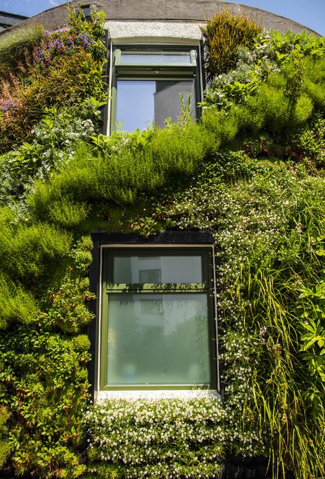 Living wall at the University of Plymouth
