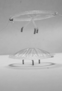 PHDE actuators on jumping robot