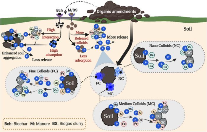 Size and composition of colloidal phosphorus across agricultural soils amended with biochar, manure and biogas slurry
