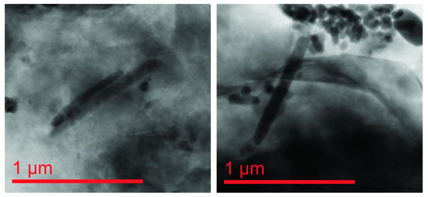 Giant magnetofossils