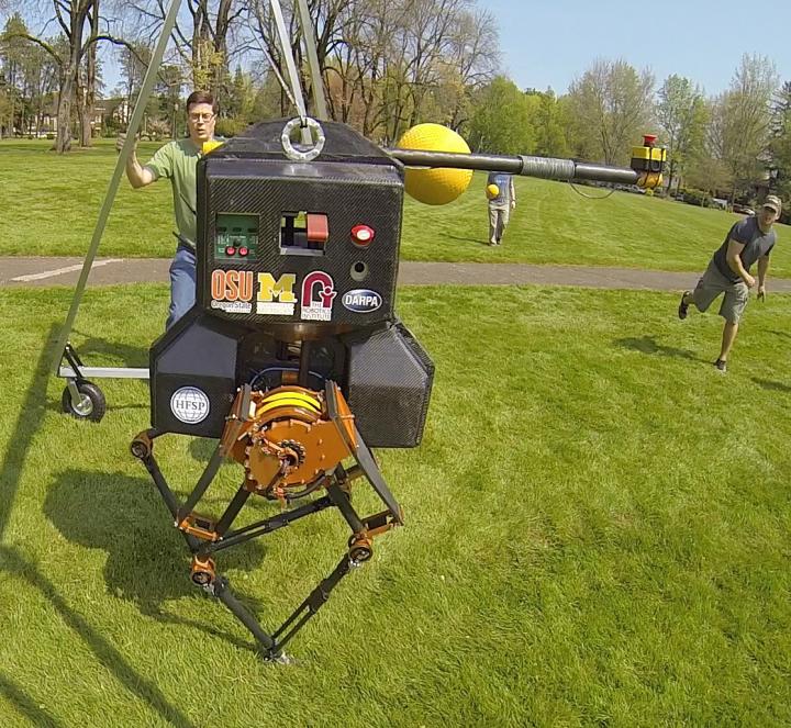 Walking Robot