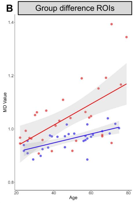 As expert birders age, structural brain changes persist.