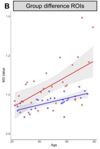 As expert birders age, structural brain changes persist.