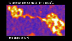 Researchers capture thermal fluctuations in polymer segments for the first time