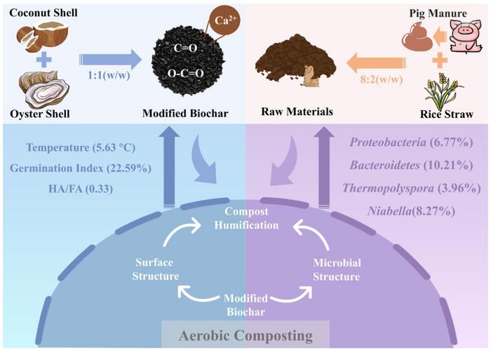 Oyster shell-functionalized biochar enhanced compost humification during the co-composting of pig manure with rice straw