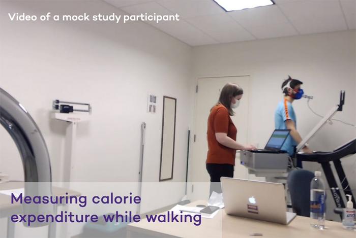 How researchers captured calorie burn