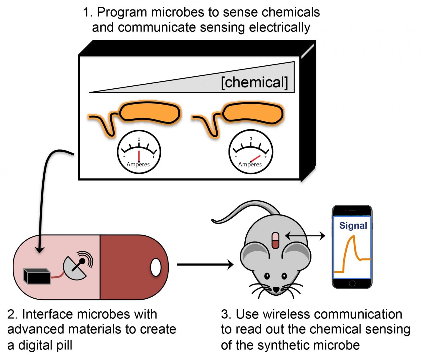 Bioelectronics