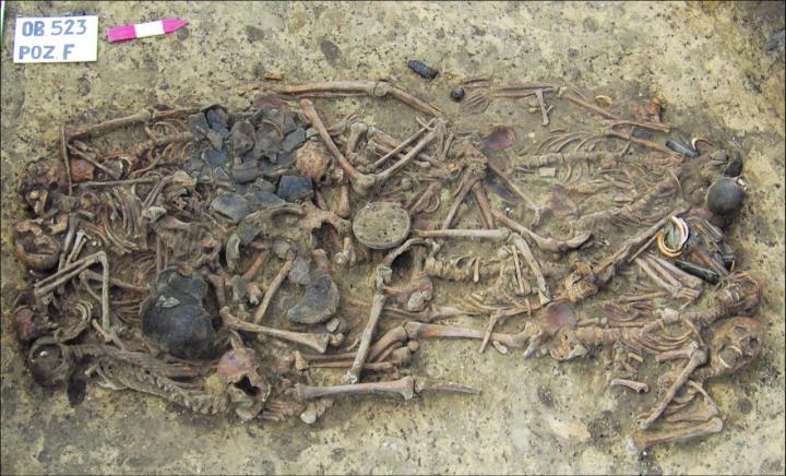 The Late Neolithic Mass Grave At Koszyce, Poland