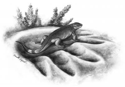 In the Footprint of Giants