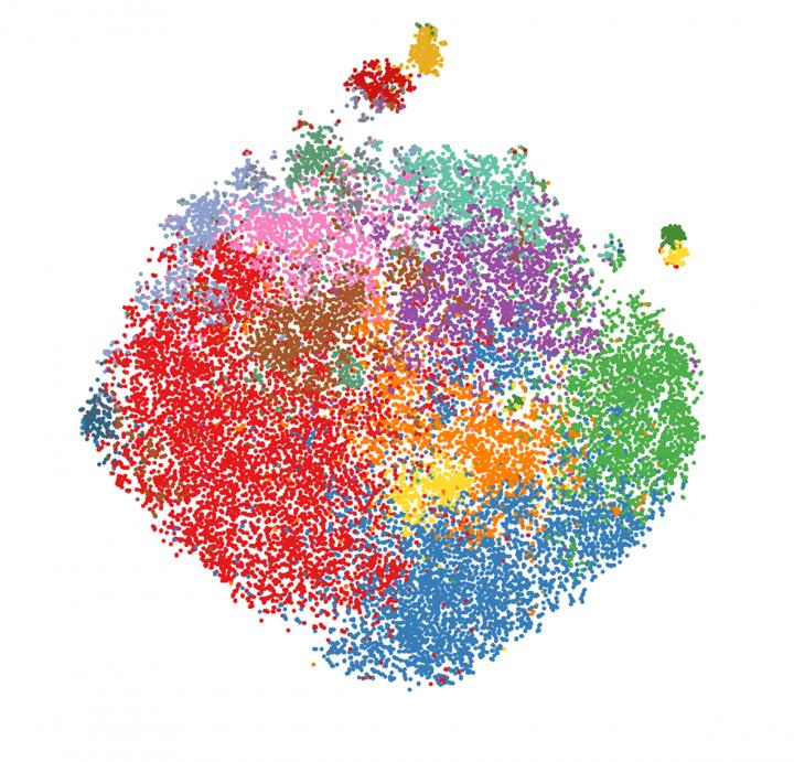 Data plot showing T cells isolated from blood samples