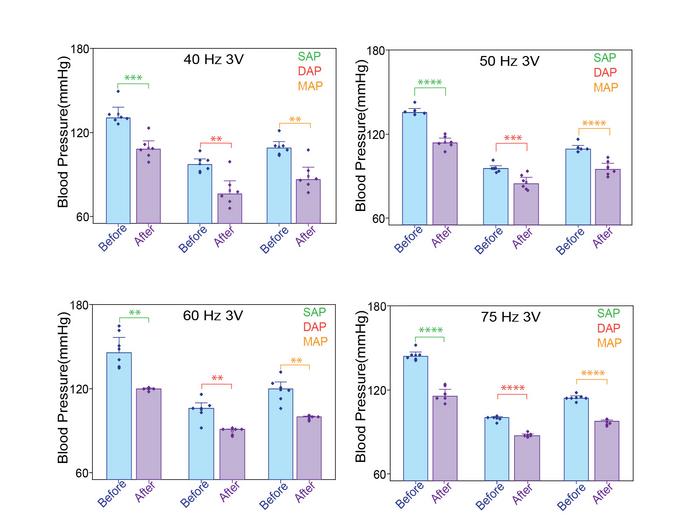 Hypertension Research Figure