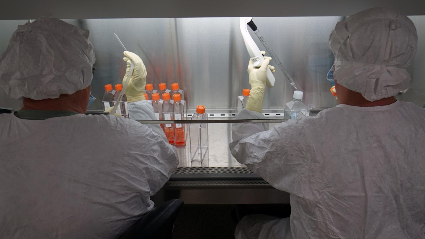 WRAIR Scientists Working at Bench with ZPIV vVccine Candidate