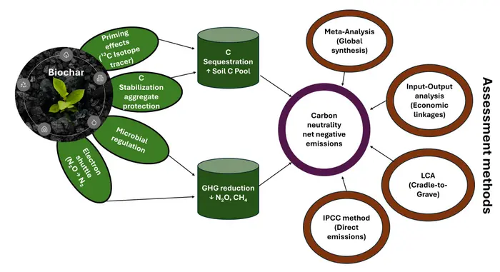 Biochar towards soil carbon neutrality: a critical review