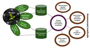 Biochar towards soil carbon neutrality: a critical review