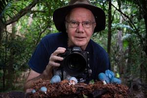 Stephen Axford pictured here behind the lens of some wonderous Coprinopsis pulchricaerulea