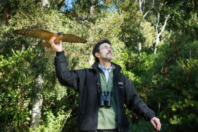 Professor Magrath With Model Hawk