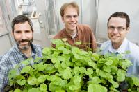 Adam Davis, Richard Lankau and Greg Spyreas, University of Illinois at Urbana-Champaign