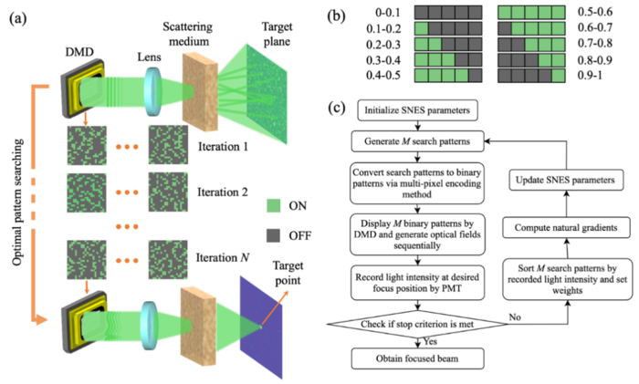 Figure 1 | Principle and schematic of DMD-SNES WS method